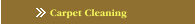 Carpet Cleaning